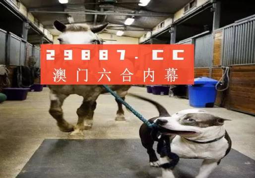 澳门一肖一码一一中厂全面释义、专家解析解释与落实