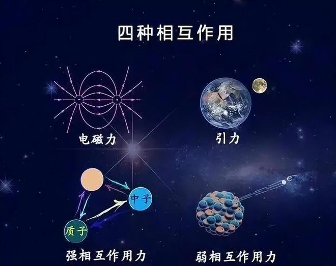 物理学奖，科学探索的荣耀与启迪